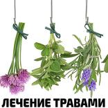 Лечение травами