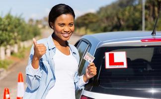 Lana`s Driving School اسکرین شاٹ 1