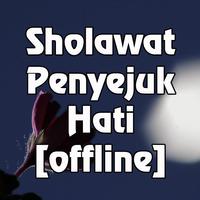 Sholawat Penyejuk Hati capture d'écran 2