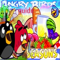 Guide Angrybirds season Affiche