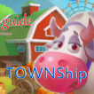 Guide TownShip