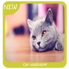 cat wallpaper icon