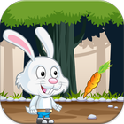 Jungle bunny Adventure icon