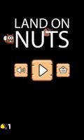 Land on Nuts poster