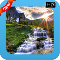 New Landscape WP
