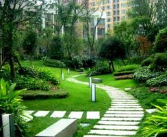 landscape design ideas ảnh chụp màn hình 1