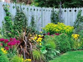 Landscaping  Design স্ক্রিনশট 2