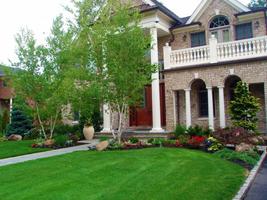Landscaping Ideas screenshot 2