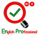 English Professional- Grammar, Spell with voice APK