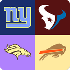 guess the nfl team 2018 icon