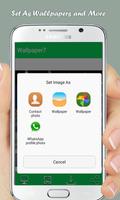 HD Khaba Wallpapers پوسٹر