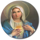 La Salve APK