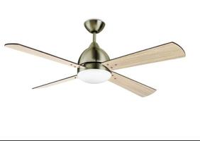 ceiling fan with light poster