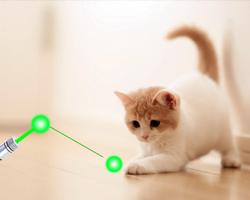 Cat laser pointer simulator poster