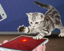 Cat laser pointer simulator Ekran Görüntüsü 1