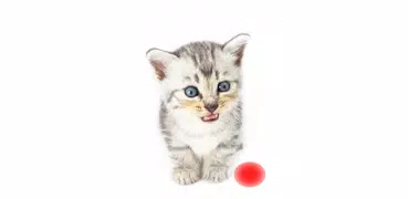 Cat Laser Toy