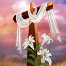 Versets de la Sainte Bible & P APK