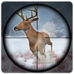 Safari Wild Deer African Jungle Hunting 3D Game