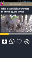 Baby Elephants Gif Wallpapers 截图 3