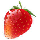 Fruit Games for Kids Free icon
