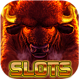 Wild Buffalo Safari HD Slots