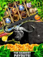 Wild Buffalo Safari HD Slots Affiche