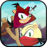 Angry Sonic Adventure - Ninja