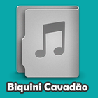 Biquini Cavadão Letras আইকন