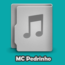 MC Pedrinho Letras APK