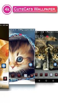 Cute Cats Wallpaper 4K screenshot 2