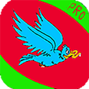 Bird Eating Worm APK