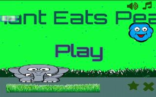 Elephant Eats Peanuts Affiche