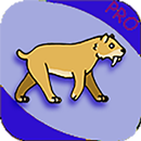 Hungry Tiger Eats APK