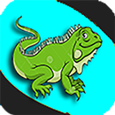 Lizard Eats Egg APK