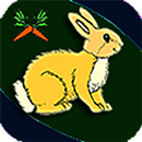 Rabbit Looking For Carrot APK