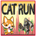 CAT RUN