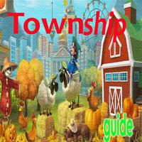 پوستر Guide Township