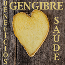 Gengibre e seus benefícios APK