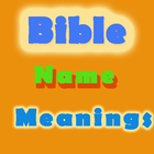 Bible Names and Meanings icône