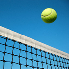 Lawn Tennis Secrets أيقونة