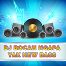 Koleksi DJ Bocah Ngapa Yak Remix Offline Mp3 aplikacja