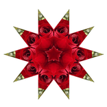 Fidget Spinner Mandala