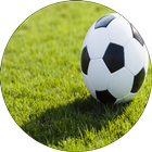 Laws Of Football আইকন