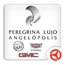 Peregrina Lujo Angelópolis APK