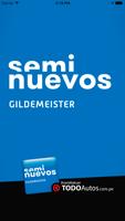 Poster Seminuevos Gildemeister