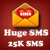 Hindi & Paki 25,000 SMS icône