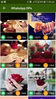 DP and Status 2018 تصوير الشاشة 1