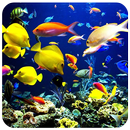 Aquarium Live Wallpaper APK