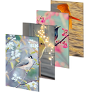 APK Wallpaper HD 2000+ Birds | 4K Beauty Background
