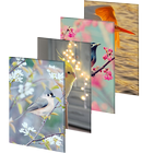 Wallpaper HD 2000+ Birds | 4K Beauty Background Zeichen